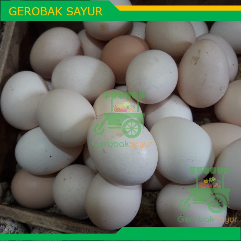 Telur Ayam Kampung Mentah