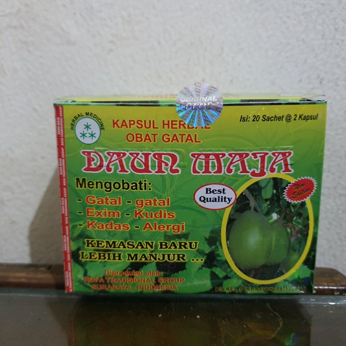 obat gatal kapsul daun maja
