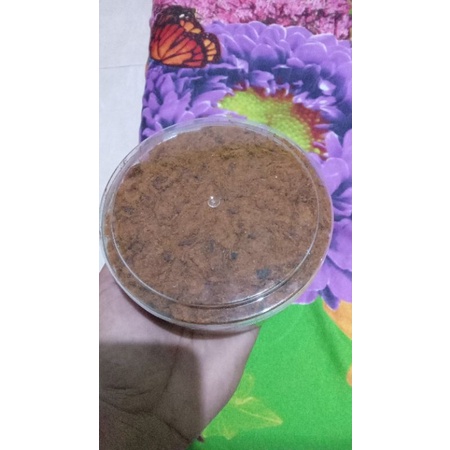 abon ayam rasa original