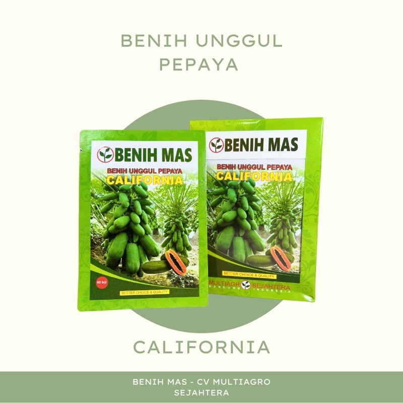 California Benih Mas