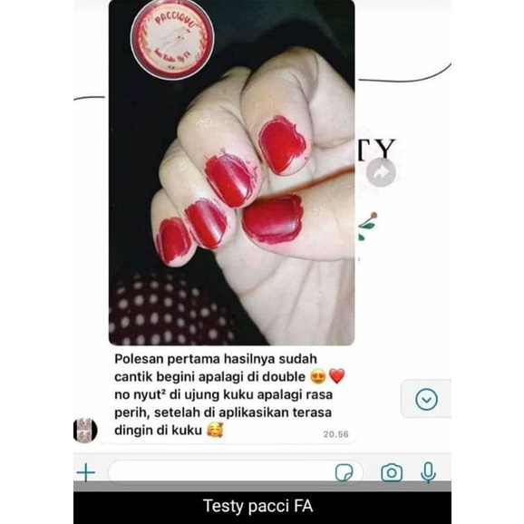 ecer pacciqyu by FA