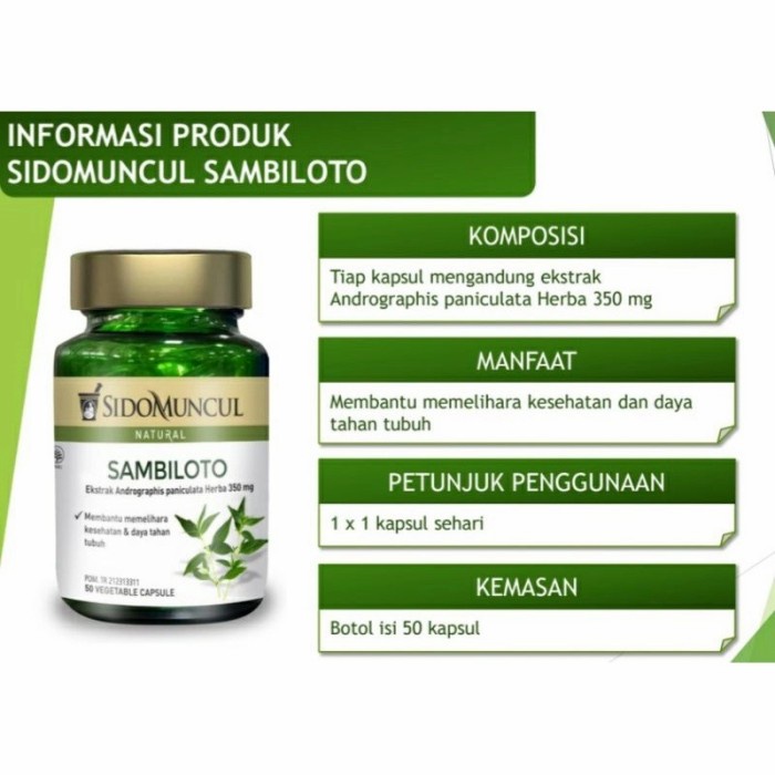 Sambiloto Sidomuncul 50 kapsul