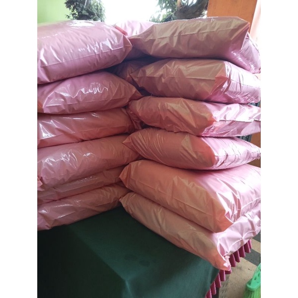 Nota LIVE 300 K 4 kg