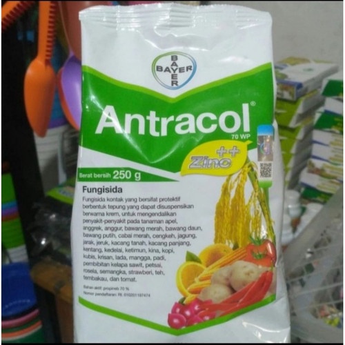Antracol 70WP - 250 gr