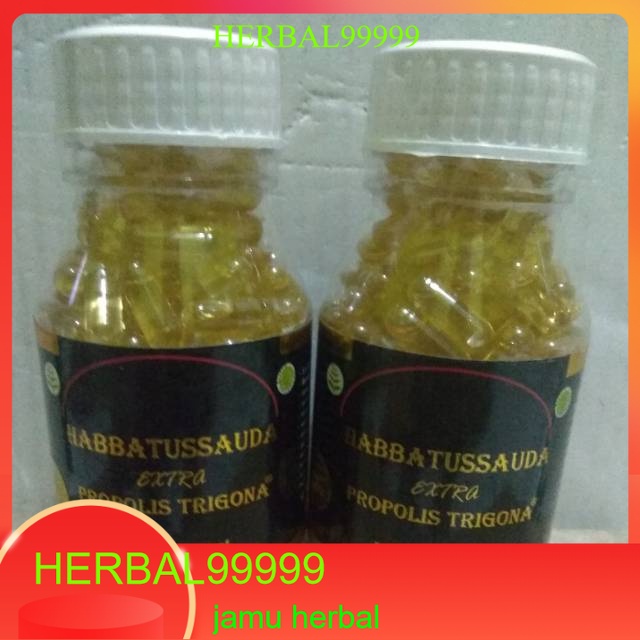 HABBATUSSAUDA EXTRA PROPOLIS TRIGONA ORIGINAL