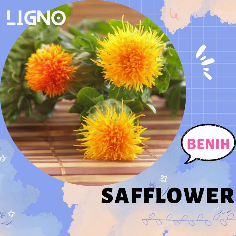 Benih SAFFLOWER (isi-8) Import Biji Bunga