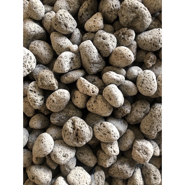 Medi filter biologis premium