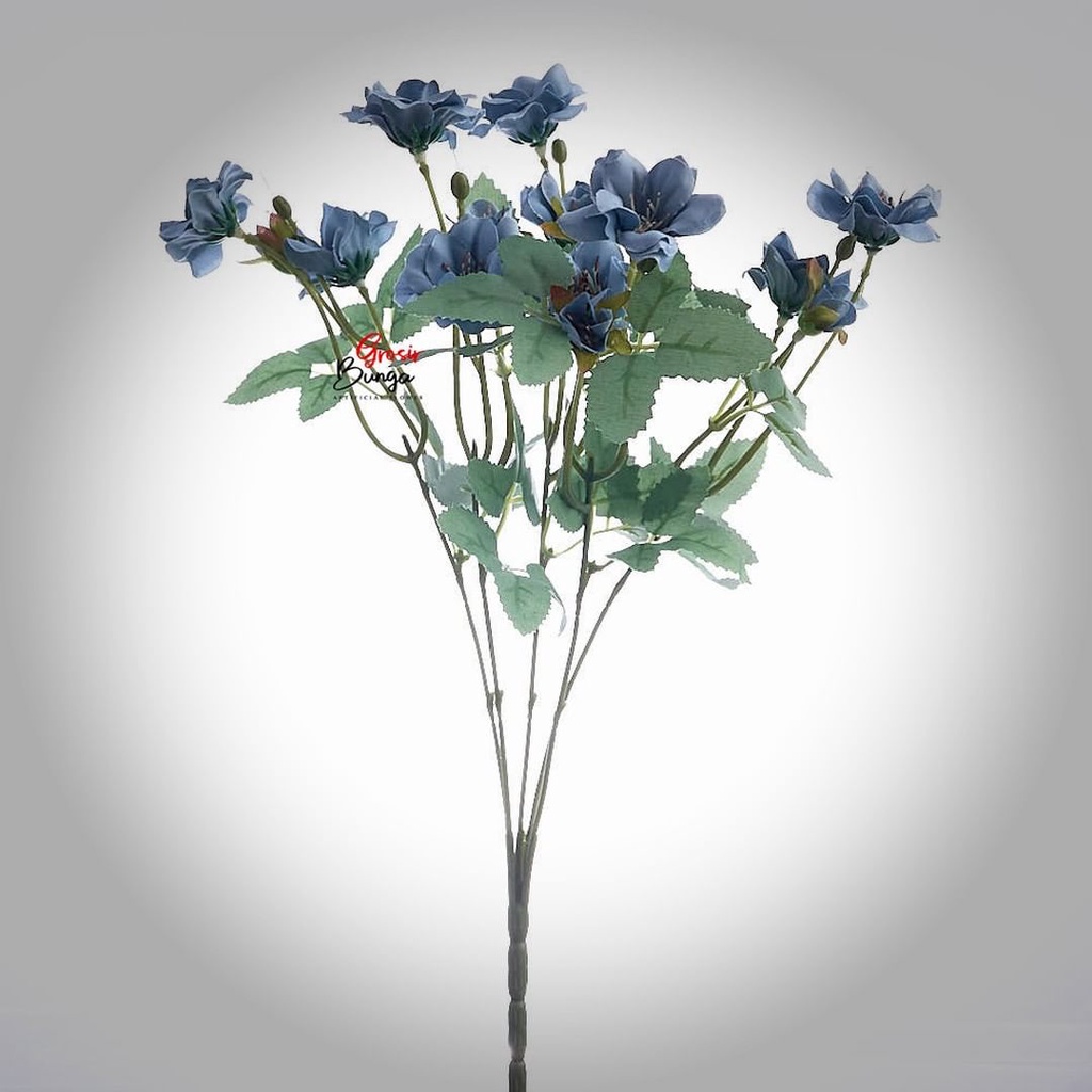 Aster Pendek Premium