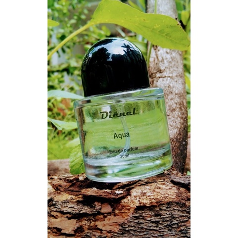 parfum dienel aqua