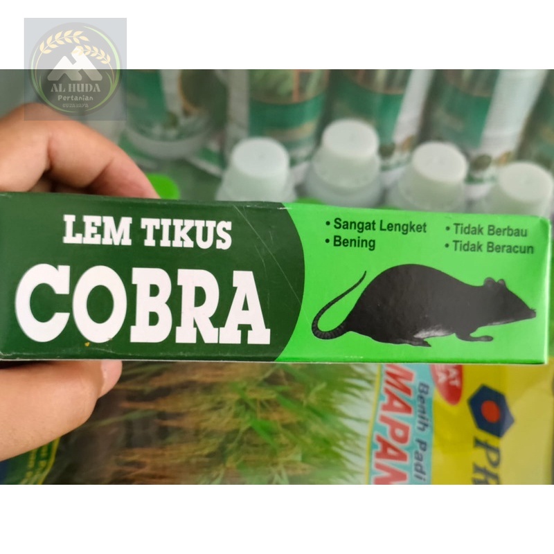 Lem Tikus COBRA isi 75gram
