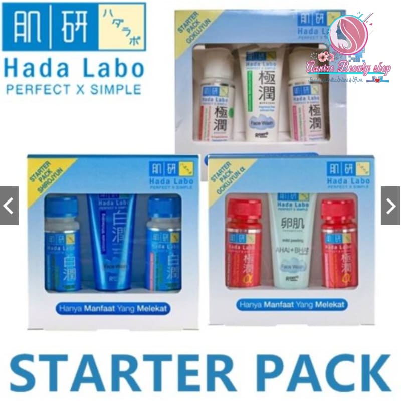 Hada Labo Perfect X Simple Starter Pack