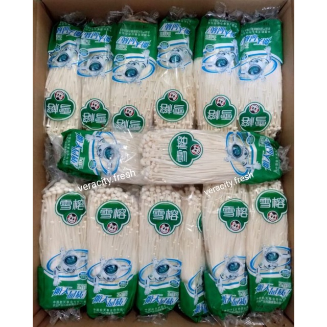 JAMUR ENOKI INOKI ASTRONOT
