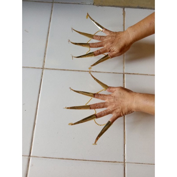 tanggai/kuku dewasa