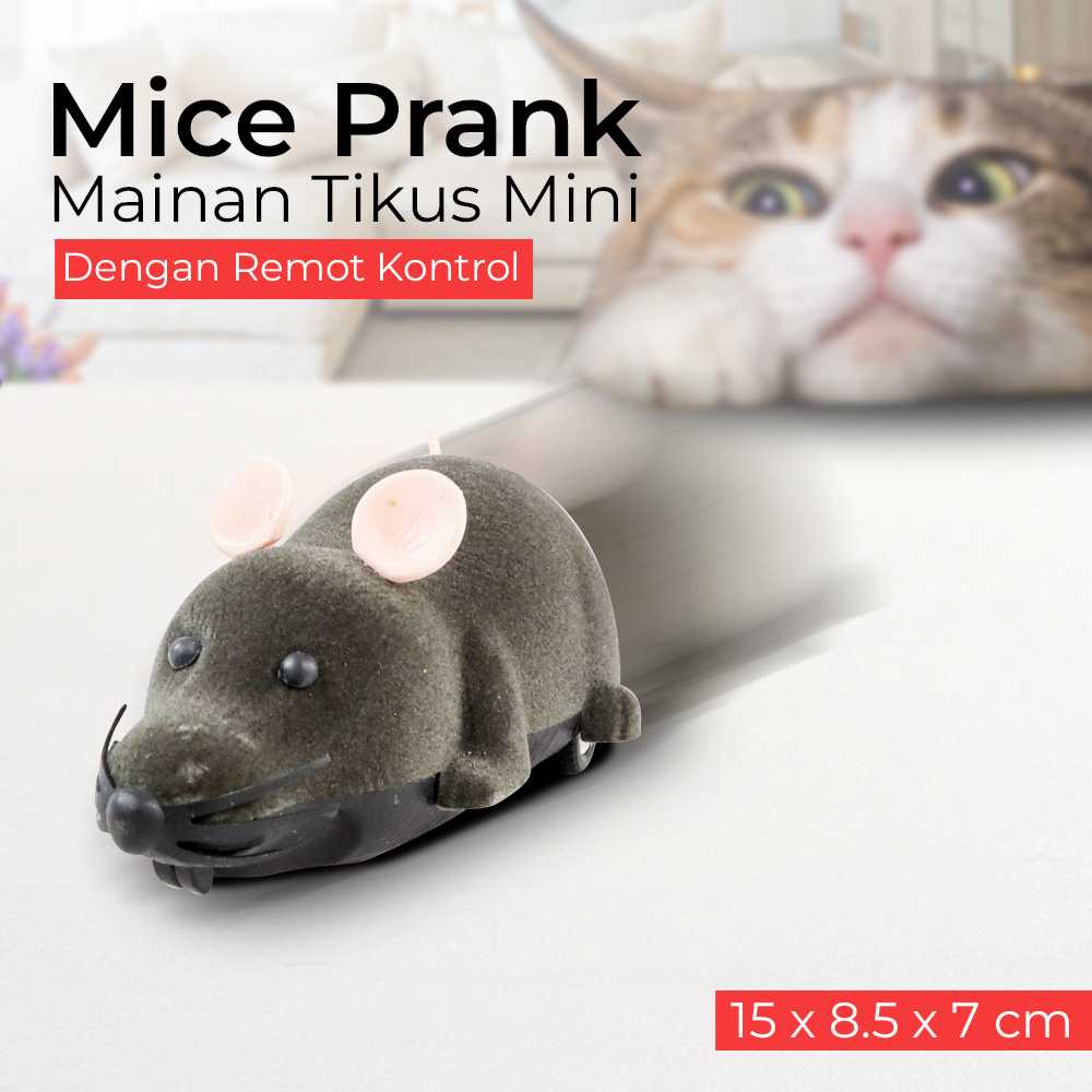 [COD] Mainan Tikus Mini Dengan Remot Kontrol