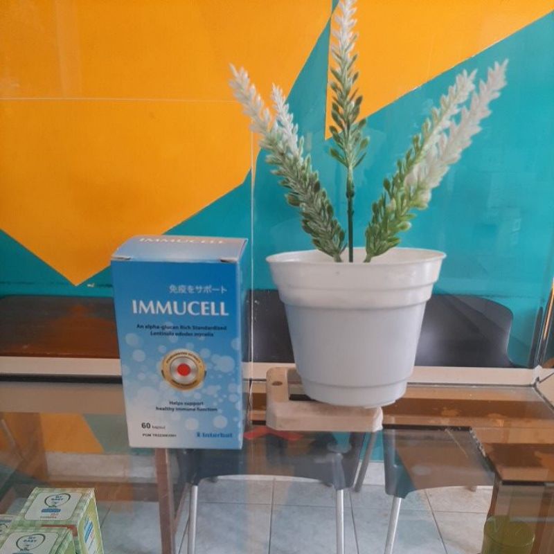 IMMUCELL BOTOL 60 KAPSUL