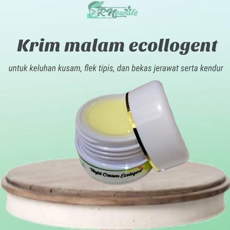 Night Cream Ecologent