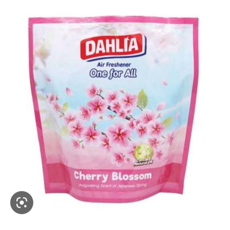 Dahlia Cherry Blossom