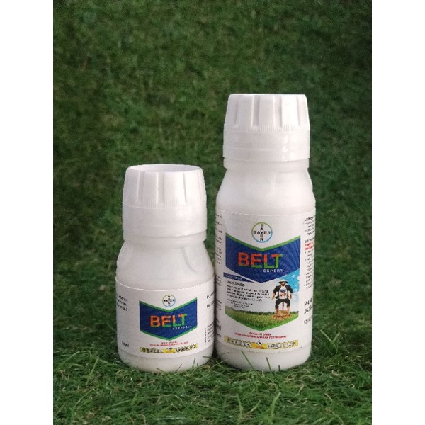 Belt 100ml