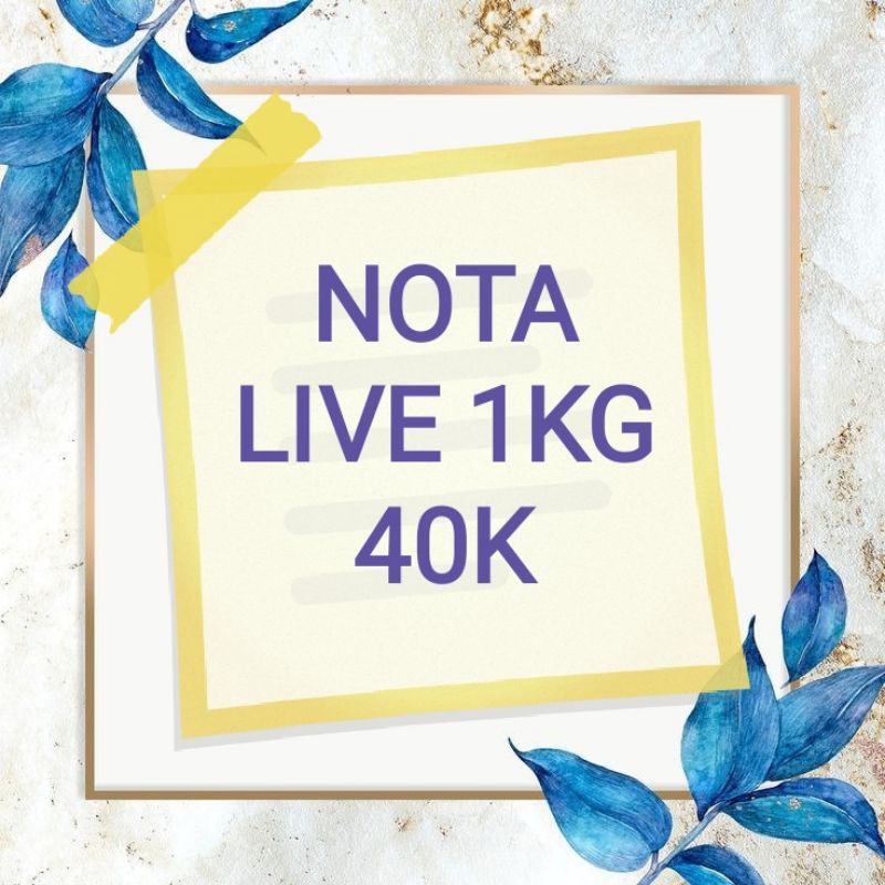 NOTA LIVE 1KG 40K