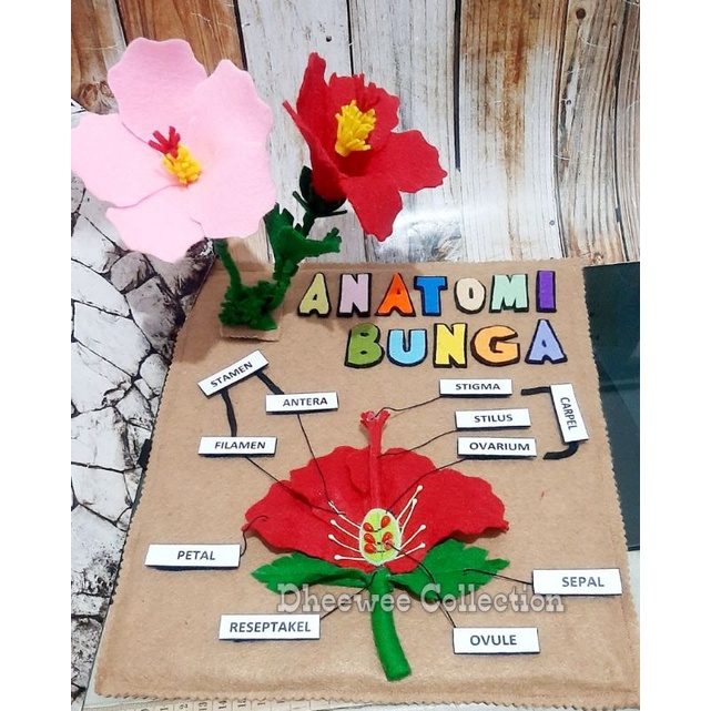 Mainan edukasi anatomi bunga. puzzel bunga