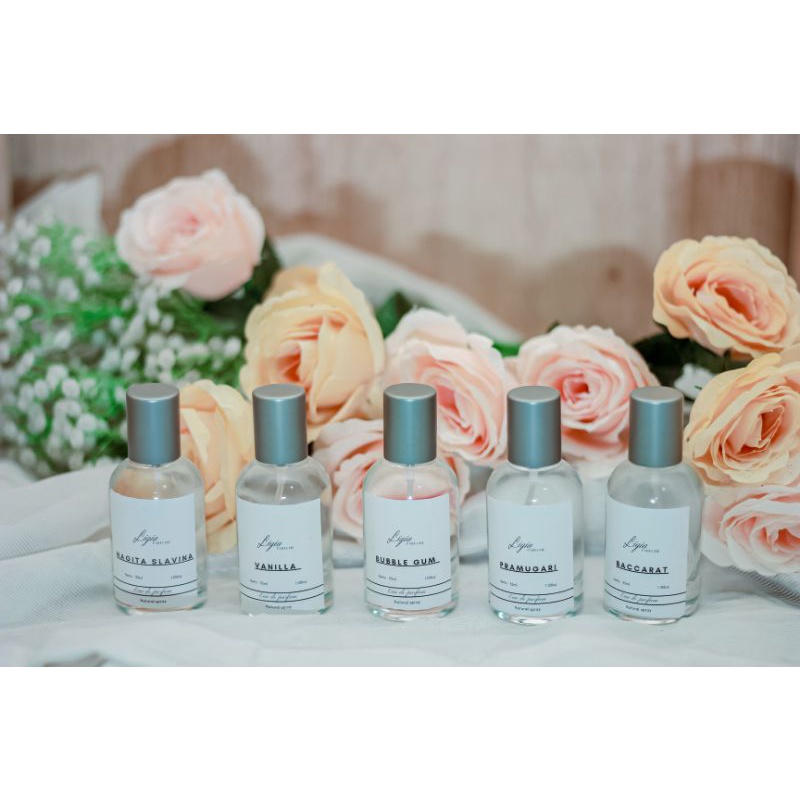 paket usaha 10 pcs parfume