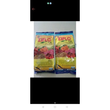 ZIPLO 76WG 800GR