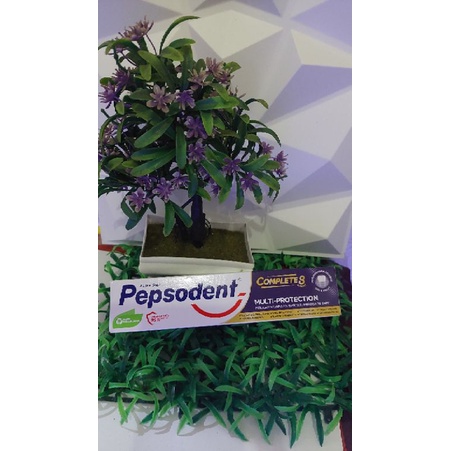 pepsodentcomplete8.150gr