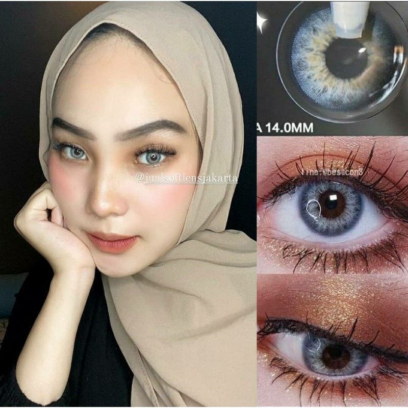 JSJ -SWEET DNA BOLLYCON GRAY NORMAL