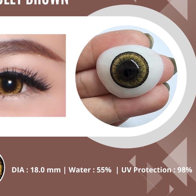 ♨ VIP BIG DOLLY SOFTLENS ♞