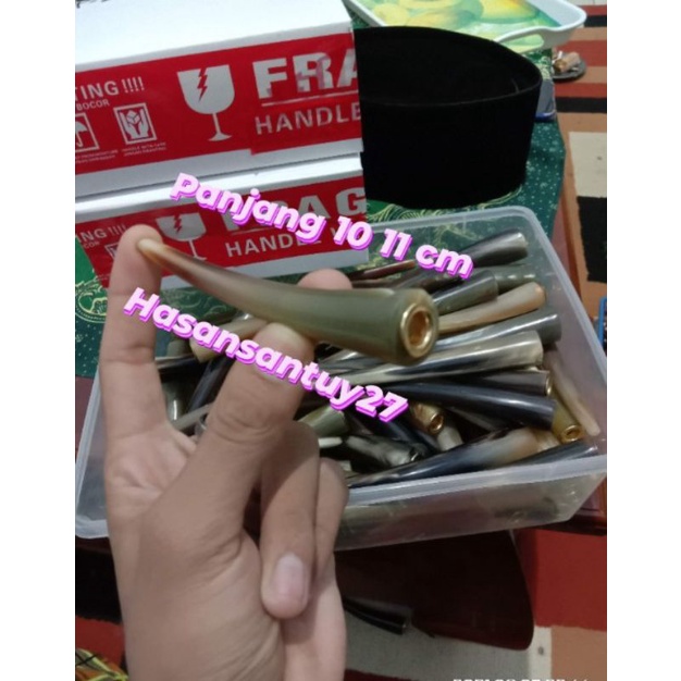 ONCE TANDUK KERBAU