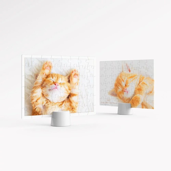 Pintoo Double Sided Puzzle Kitten's Napping Time 48 HF1005