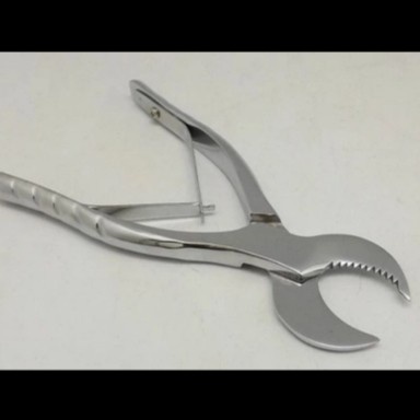 Dental Plaster Plier / Tang Gypsum