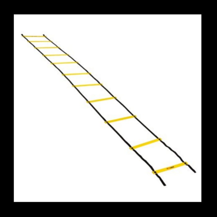 Speed Agility Ladder 6 Meter