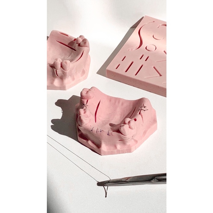 Suturing Model