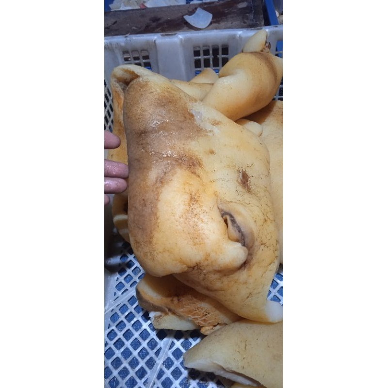 Kikil Bakar 500gr