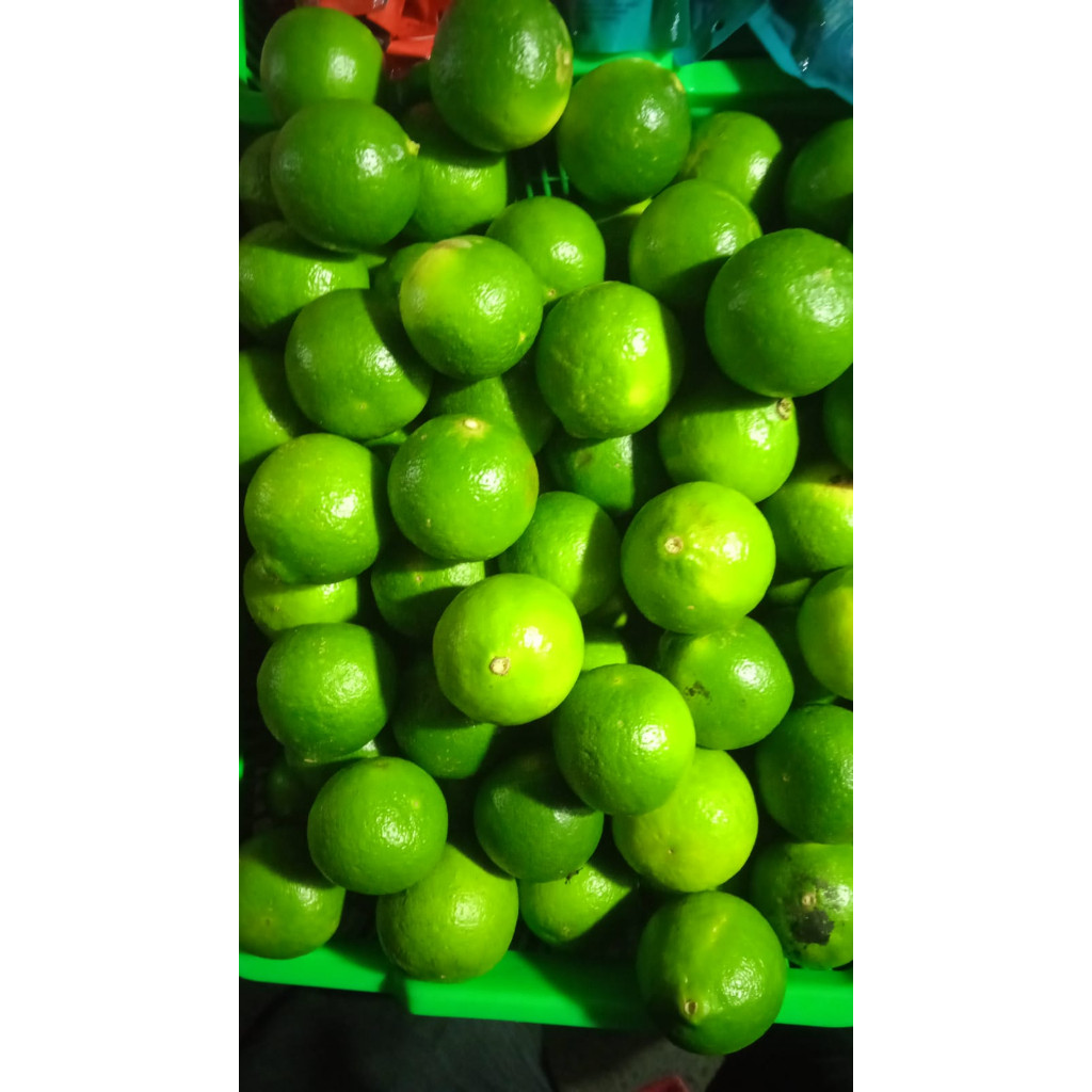 Jeruk Nipis 500Gr