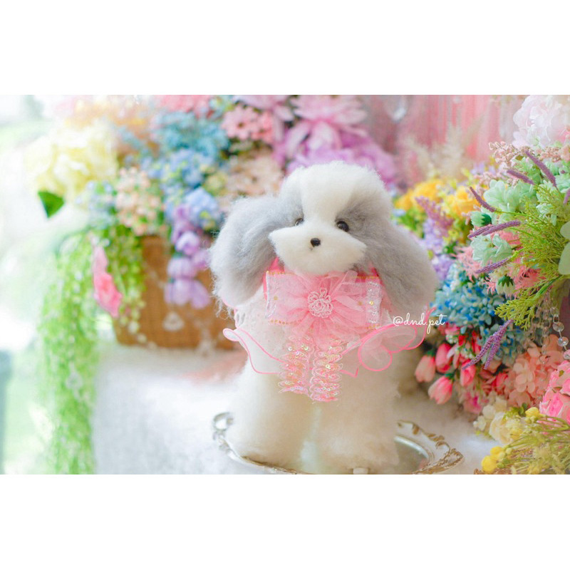 MARIBETH bib DND pet