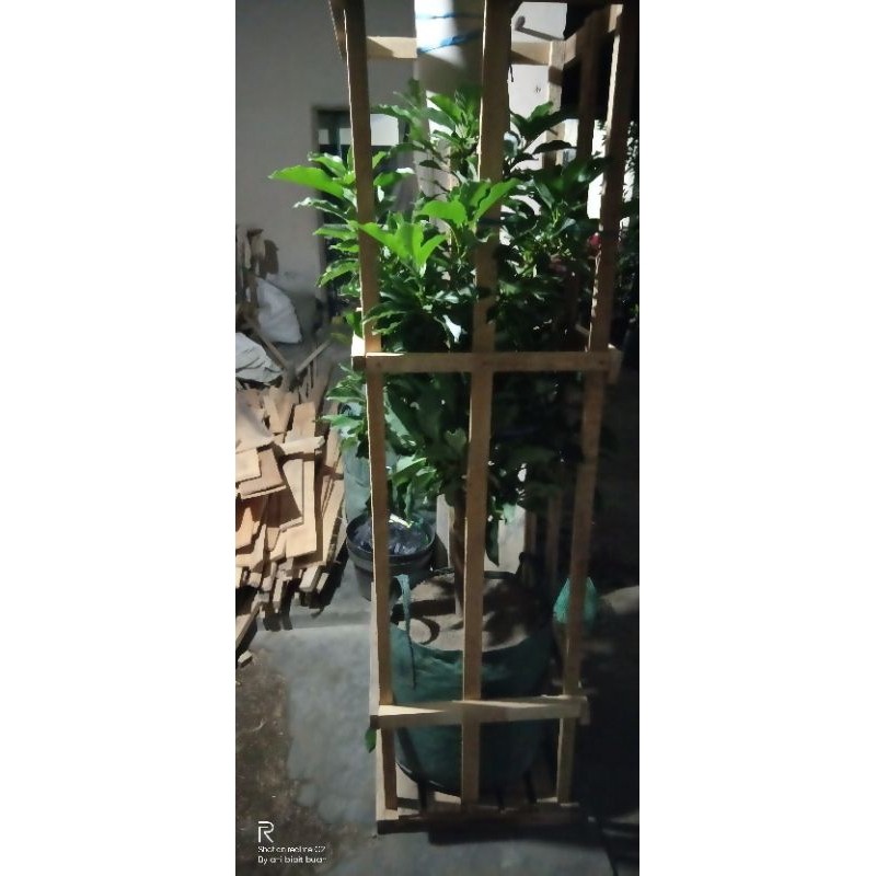 tambahan packing