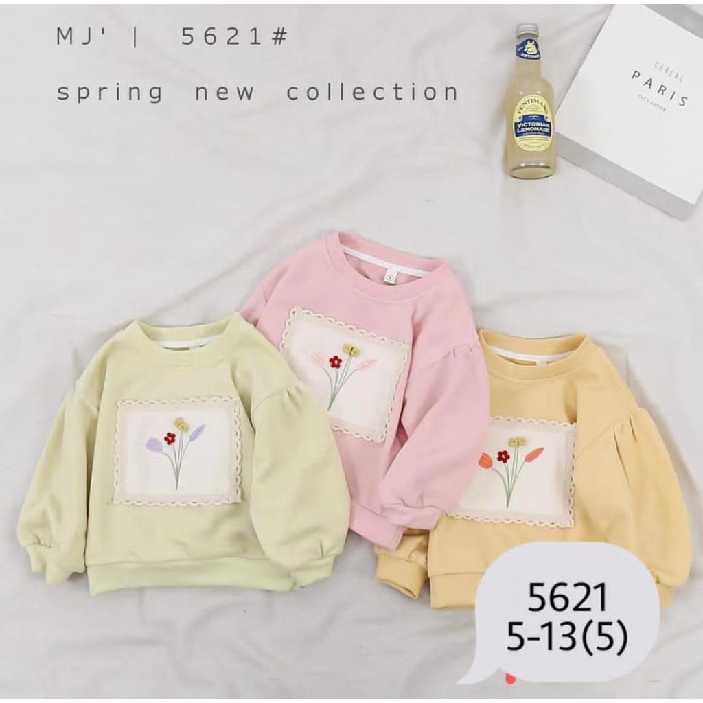 SWEATSHIRT IMPORT 5621