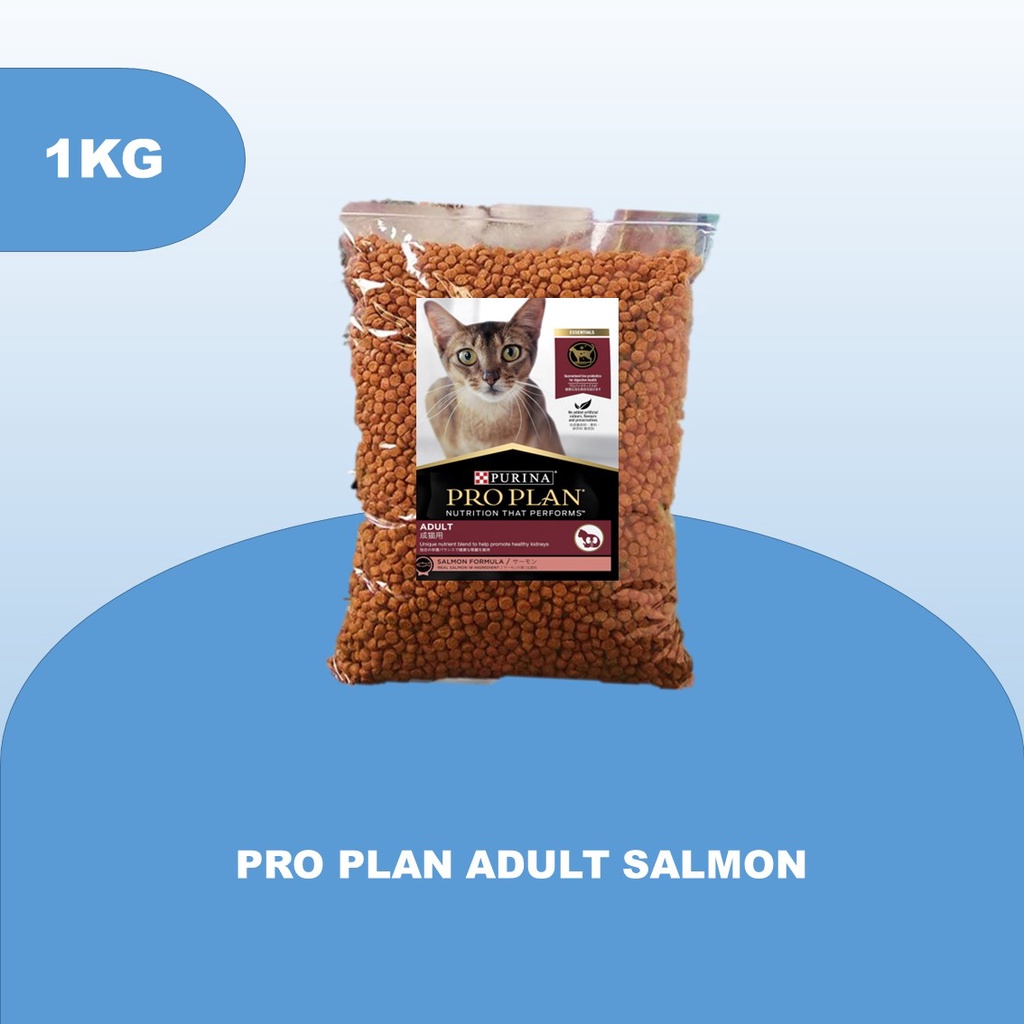 Proplan Salmon Dewasa 1kg