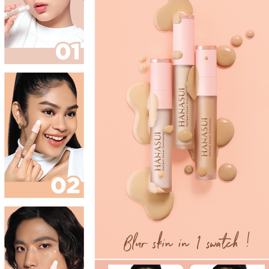 Hanasui Perfect Cover Concealer 4,5g