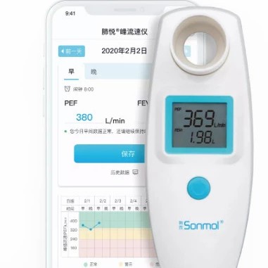 Sonmol Digital Spirometer Peak Flow Meter (PEF) and Forced Expiratory