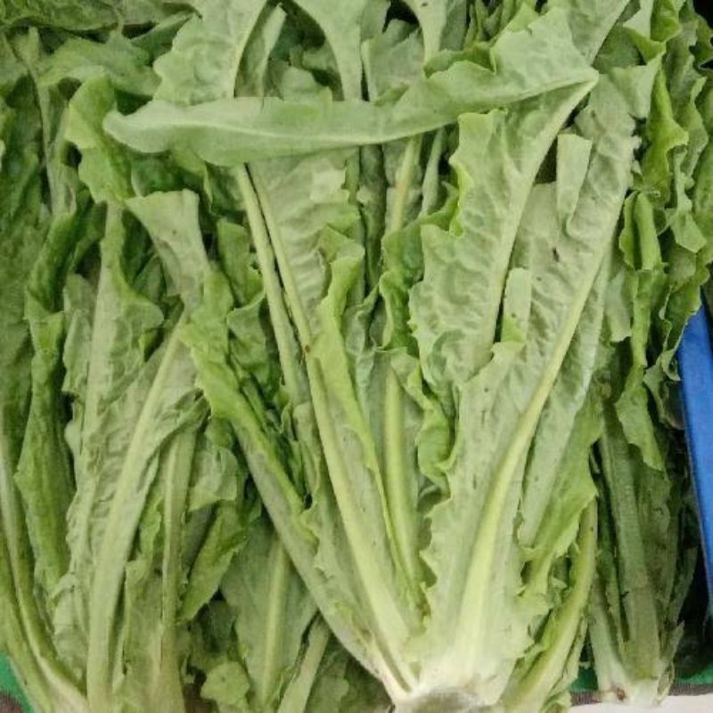 Siomak 1kg