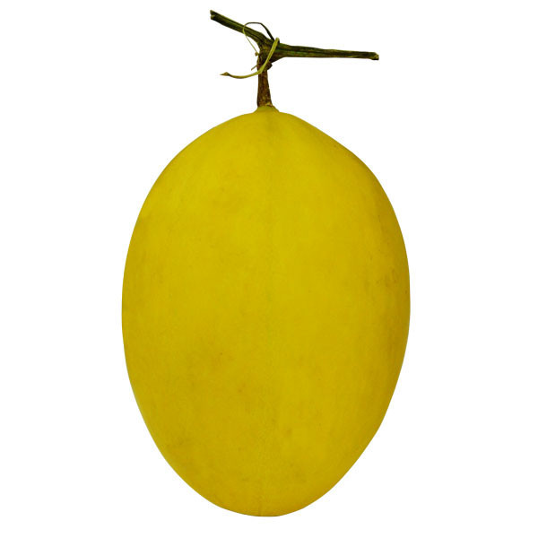 MELON GOLDEN 1500-2050 GR
