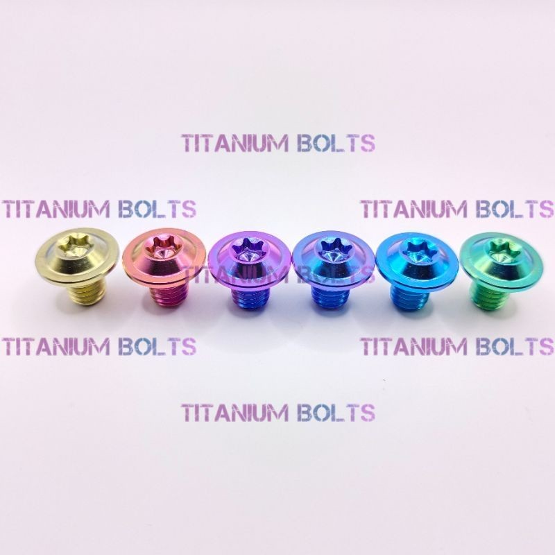 Baut Titanium M10x10 Titanium GR5 Original