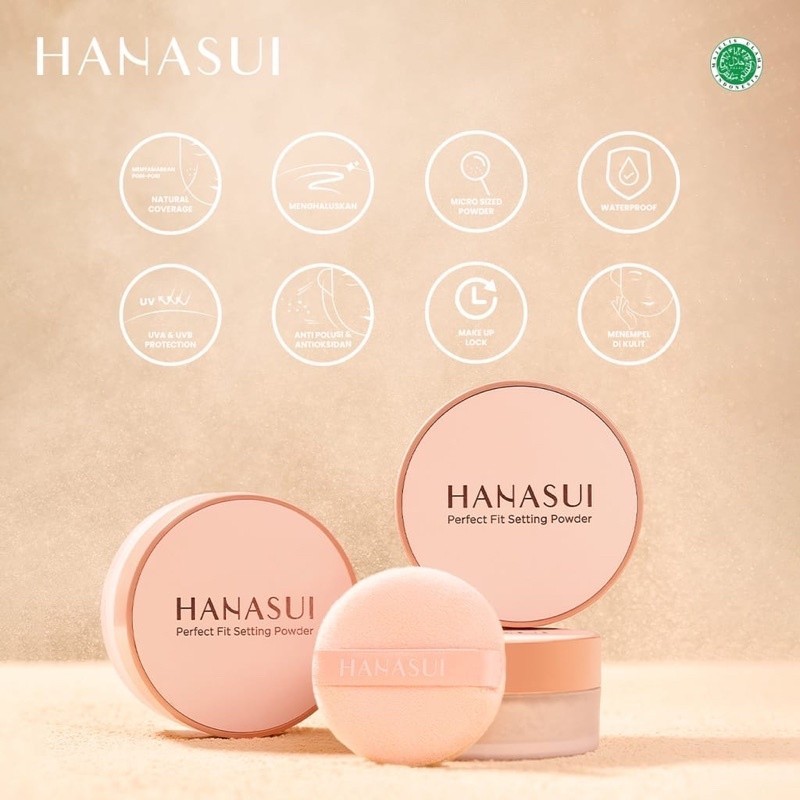 Hanasui Perfect Fit setting powder