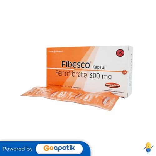 Fibesco 300 Mg Box 30 Kapsul