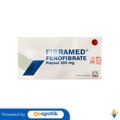 Fibramed 300 Mg Box 30 Kapsul