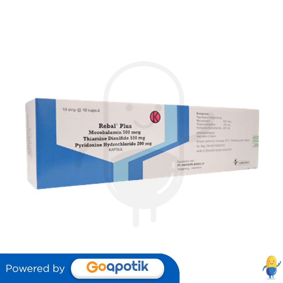 Rebal Plus Box 100 Kapsul