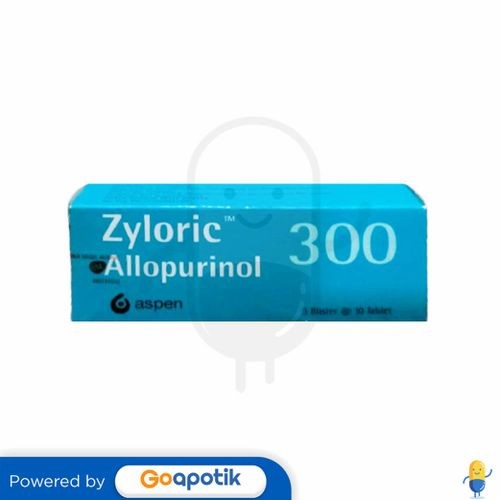 Zyloric 300 Mg Box 30 Tablet